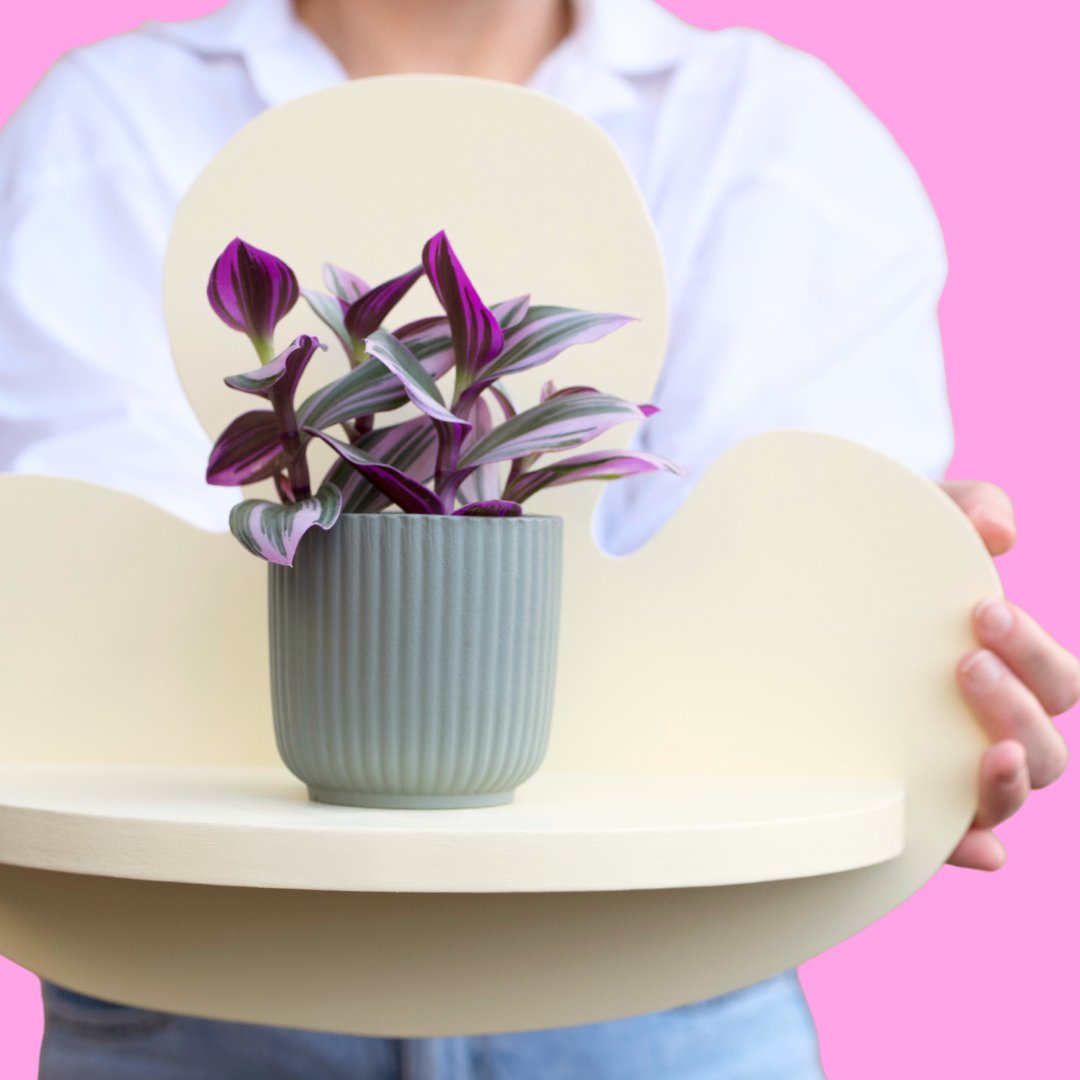 Estantería Leaf-Dopamine Concept Store