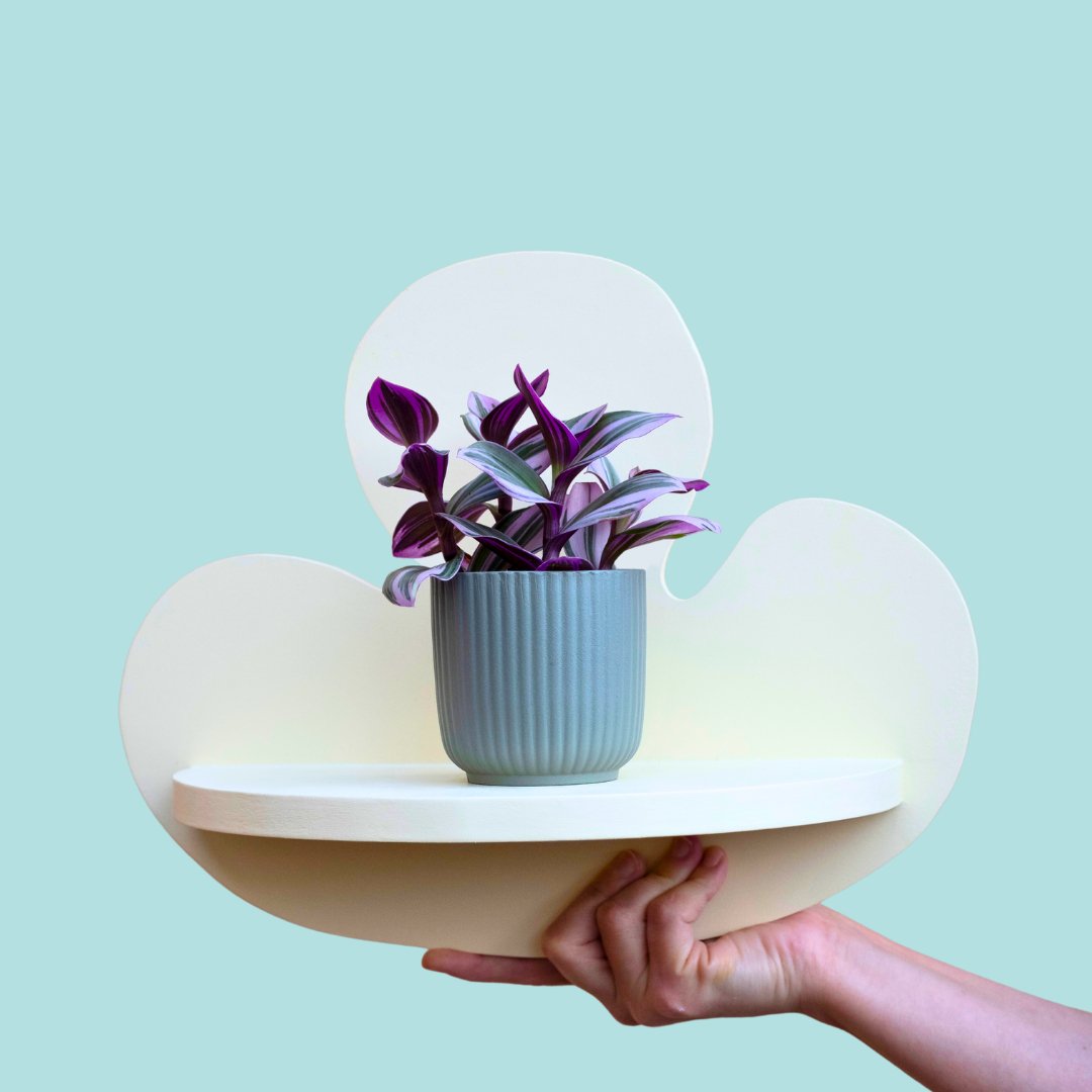 Estantería Leaf-Dopamine Concept Store