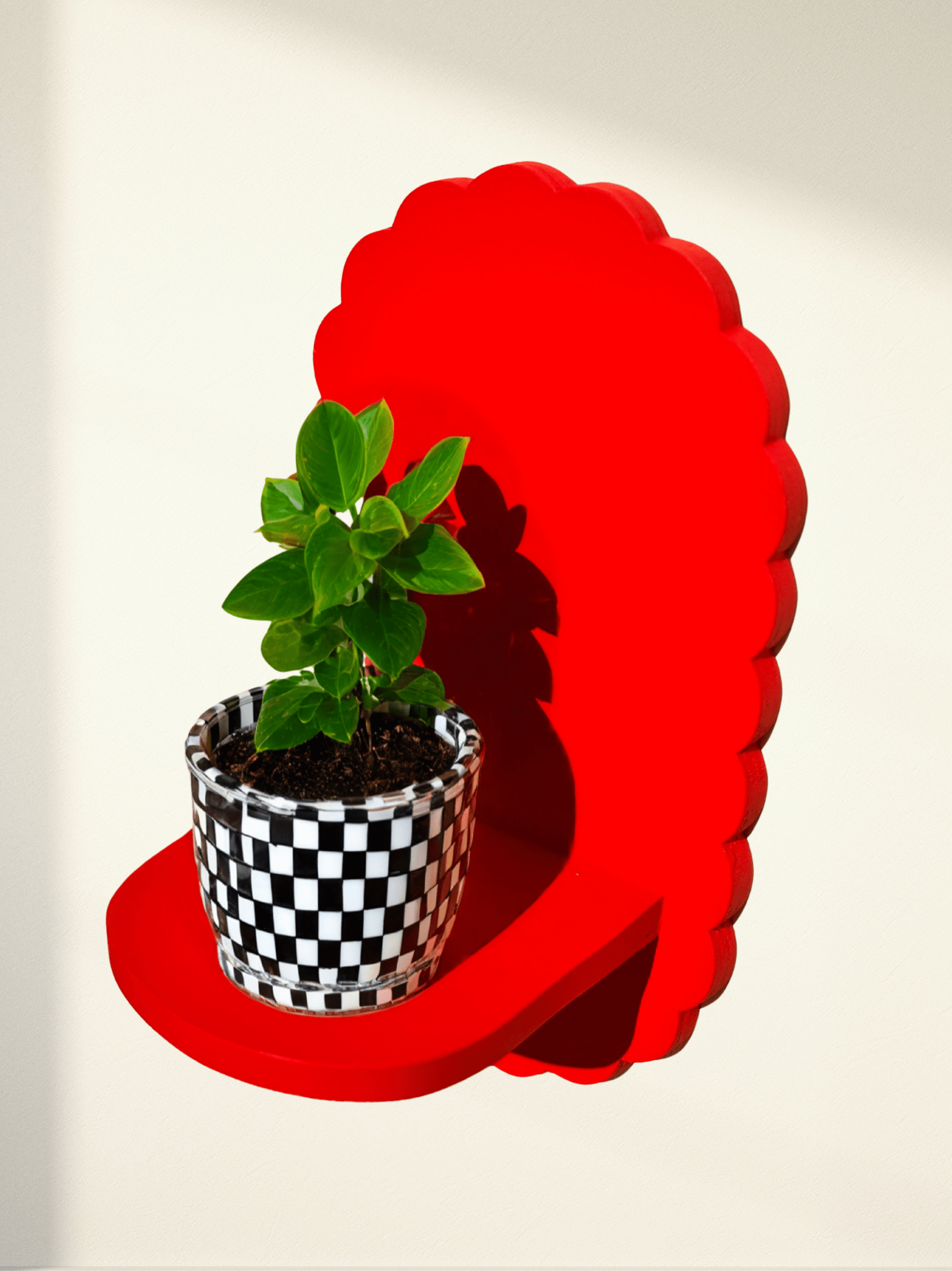 Estantería Pétalos Oval: Rojo - Estantería