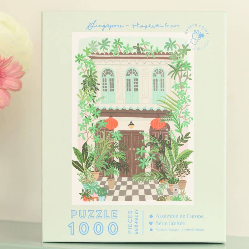Puzzle de Singapur 1000 piezas